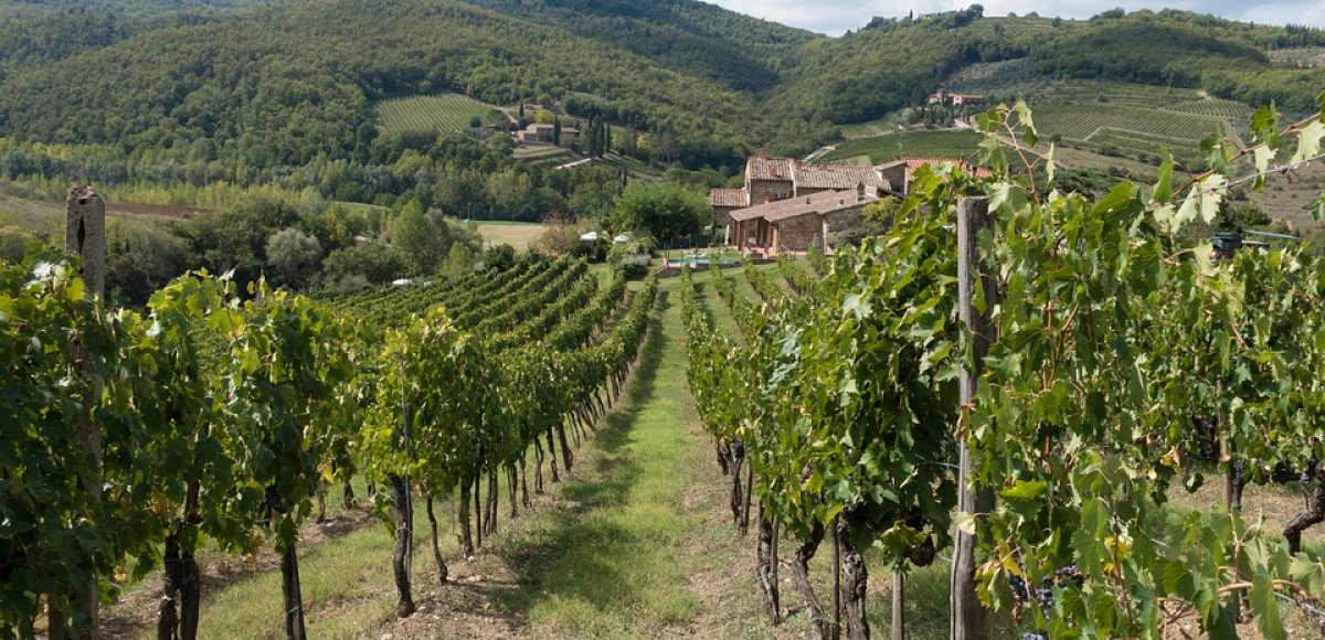 Chianti wijnroute Toscane rijden